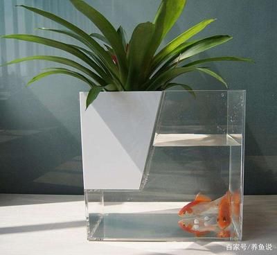 玻璃魚(yú)缸壽命能用多久：如何延長(zhǎng)玻璃魚(yú)缸的壽命 魚(yú)缸百科 第1張