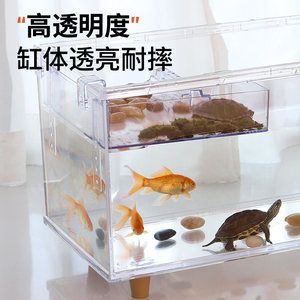 慈鯛魚(yú)缸怎么搭配好：慈鯛魚(yú)缸如何搭配