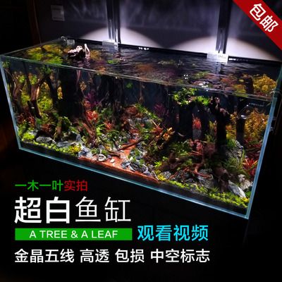 超白魚缸和金晶超白魚缸有什么區(qū)別：超白魚缸和金晶超白魚缸的區(qū)別 魚缸百科 第1張