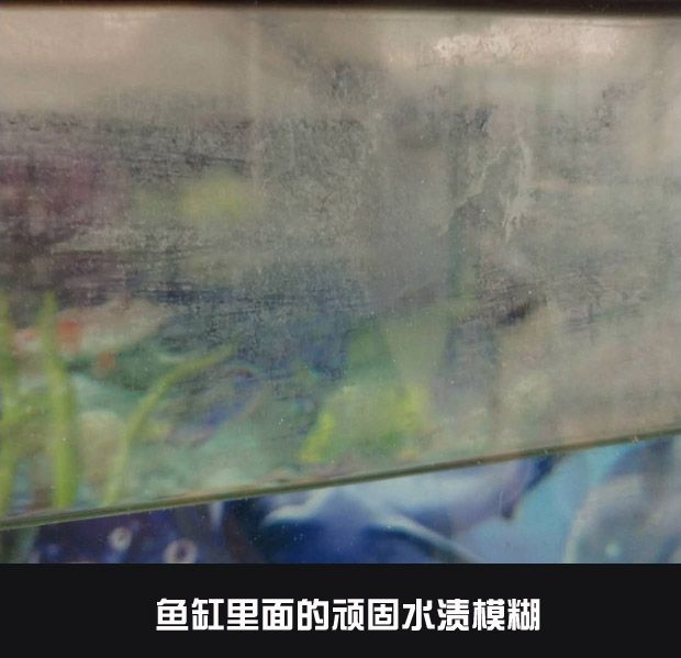 玻璃魚缸劃痕怎么修復(fù) 魚缸百科 第2張