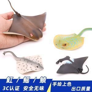 魟魚(yú)喂食器：如何選擇魟魚(yú)喂食器 魟魚(yú)百科 第1張