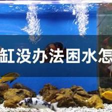 大魚缸困水怎么辦：大魚缸困水怎么辦？ 魚缸百科 第1張