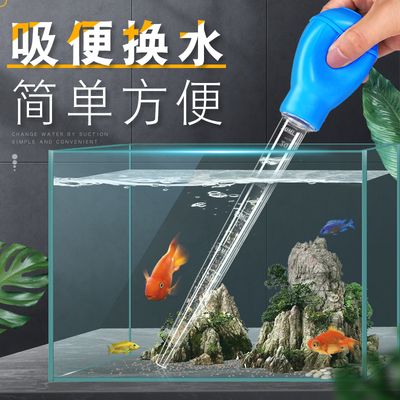 大型魚(yú)缸換水：大型魚(yú)缸換水的正確方法 魚(yú)缸百科 第3張