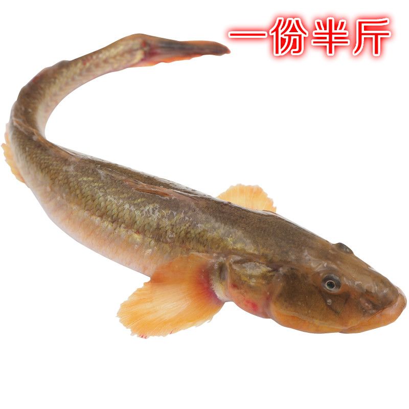 小龍魚怎么吃：小龍魚怎么吃，小龍魚怎么做