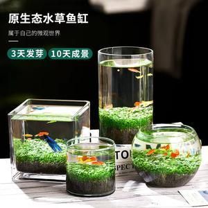 玻璃瓶魚(yú)缸diy：diy玻璃瓶魚(yú)缸的基本步驟