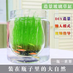 玻璃瓶魚(yú)缸diy：diy玻璃瓶魚(yú)缸的基本步驟