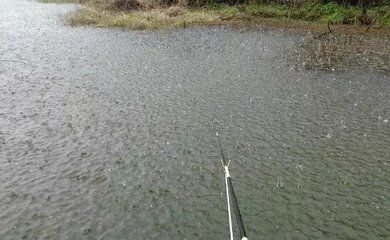 魟魚溫度多少最好釣：魟魚溫度多少最好釣魟魚溫度多少最好釣魟魚溫度多少 魟魚百科 第3張