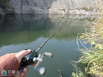 魟魚溫度多少最好釣：魟魚溫度多少最好釣魟魚溫度多少最好釣魟魚溫度多少 魟魚百科 第2張