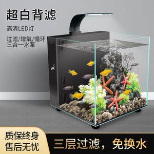 不換水不過濾的生態(tài)魚缸：如何建立一個不換水不過濾的生態(tài)魚缸 魚缸百科 第3張