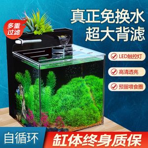 不換水不過濾的生態(tài)魚缸：如何建立一個不換水不過濾的生態(tài)魚缸 魚缸百科 第4張