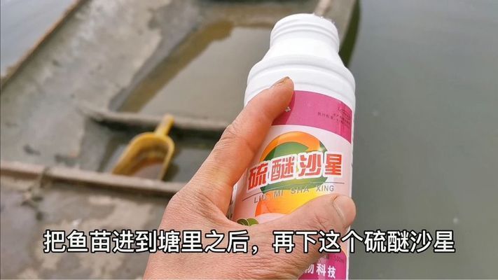 紅龍魚幼苗用臭氧消毒嗎：紅龍魚幼苗使用臭氧消毒嗎