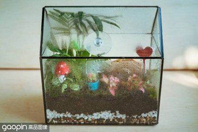 大礦泉水桶改造魚缸：大礦泉水桶可以通過(guò)一些簡(jiǎn)單的步驟改造為一個(gè)實(shí)用的魚缸 魚缸百科 第1張