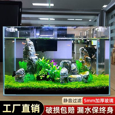 斗魚魚缸造景注意事項：斗魚魚缸造景與養(yǎng)護技巧斗魚缸造景與養(yǎng)護技巧 魚缸百科 第1張