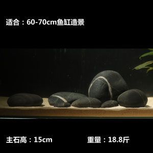 1.5魚缸有多重：1.5米的魚缸有多重 魚缸百科 第1張