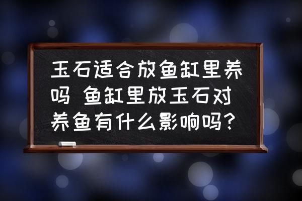 白玉石放魚缸好不好養(yǎng)魚苗：玉石放入魚缸后，可能會(huì)對(duì)水質(zhì)產(chǎn)生一定的影響 魚缸百科 第1張