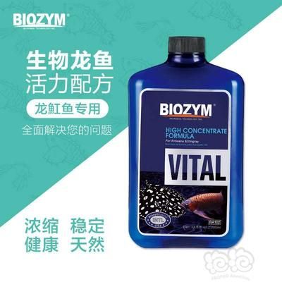 龍魚專用硝化細(xì)菌：龍魚專用硝化細(xì)菌的選擇、使用方法以及使用方法 龍魚百科 第1張