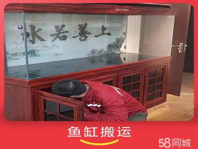 搬一個魚缸大概多少錢?。喊嵋粋€魚缸需要多少錢？