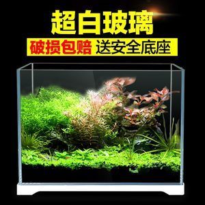 草缸魚缸和水族箱區(qū)別：草缸、魚缸和水族箱的區(qū)別 魚缸百科 第4張