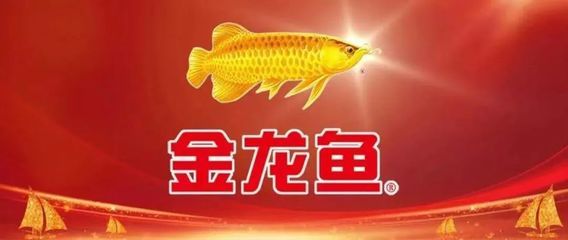 金龍魚翻身是怎么回事：金龍魚翻身是怎么回事金龍魚翻身是怎么回事 龍魚百科 第2張