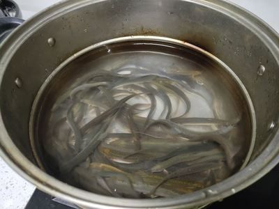 喂龍魚泥鰍怎么處理干凈：喂龍魚泥鰍怎么處理 龍魚百科 第1張