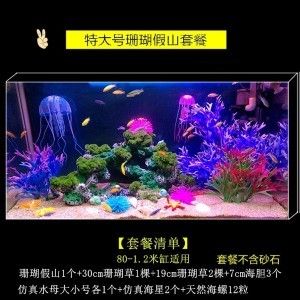 大魚缸能造景嗎視頻：大魚缸的造景技巧 魚缸百科 第3張