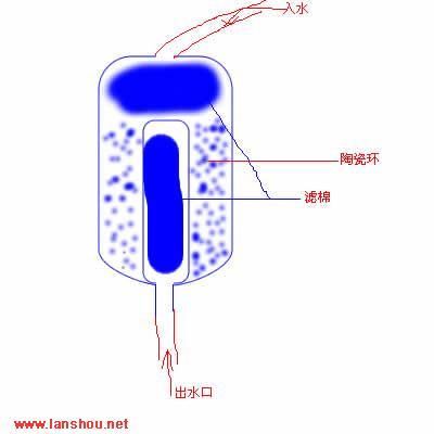 金龍魚為什么一直呆在出水口：金龍魚為什么一直呆在出水口可能是因為水中缺氧或水質(zhì)問題 龍魚百科 第2張