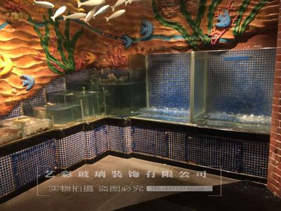 定做回收各種規(guī)格海鮮魚缸,大型、異型海鮮池：武漢地區(qū)58同城網(wǎng)站觀賞魚缸定做、海鮮池定做服務(wù) 魚缸百科 第4張