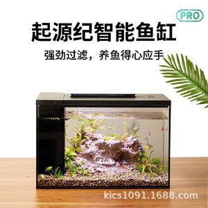 不用過濾的原生態(tài)魚缸：不用過濾器的養(yǎng)魚方式