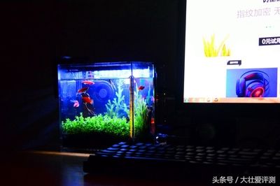 森森魚缸顯示器不亮了 森森魚缸