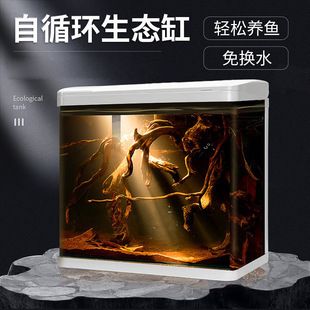 比較好的魚缸過濾品牌：魚缸過濾器品牌介紹魚缸過濾器品牌介紹 魚缸百科 第4張