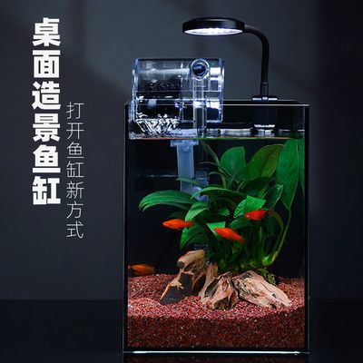 斗魚缸造景 好不好看