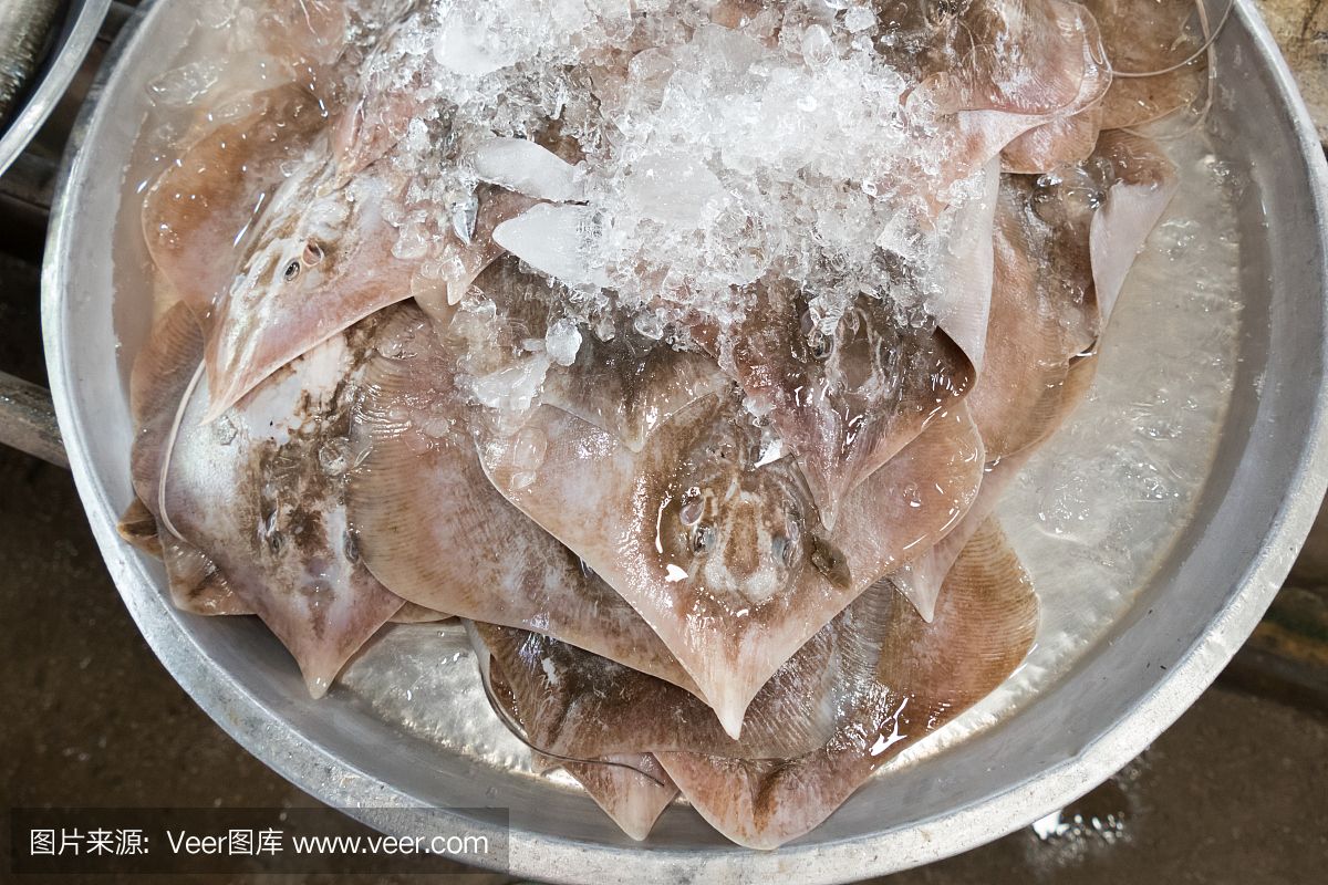 魟魚(yú)可以放鹽嗎怎么放：魟魚(yú)可以放鹽嗎怎么正確添加[需手動(dòng)填充]魚(yú)可以放鹽嗎 魟魚(yú)百科 第3張