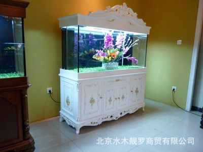 定做魚缸多少錢一米：定做魚缸的價格 魚缸百科 第3張