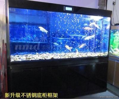 超大魚缸怎么換水：超大魚缸換水步驟和注意事項(xiàng)魚缸換水步驟和注意事項(xiàng) 魚缸百科 第3張