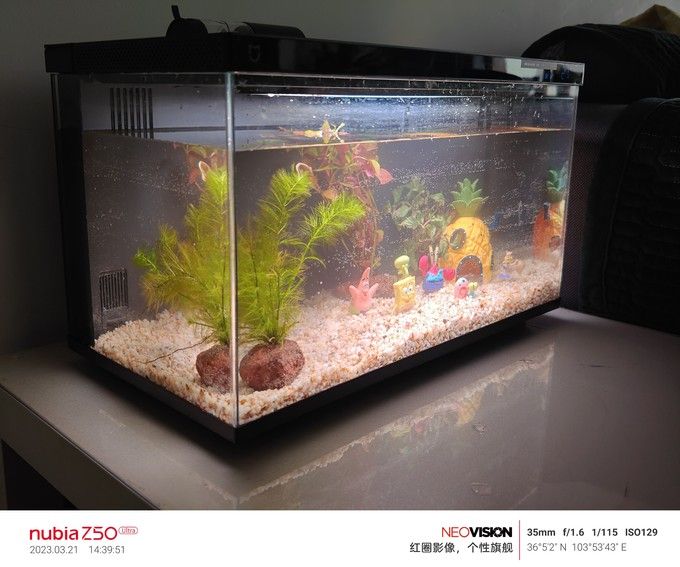 neo是什么品牌魚缸：neo品牌是一個專業(yè)的魚缸品牌neo品牌推薦 魚缸百科 第1張