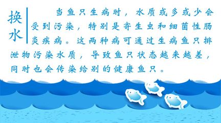 魟魚腸炎只加強(qiáng)換水能治愈嘛：魟魚腸炎只加強(qiáng)換水能治愈嘛， 魟魚百科 第2張