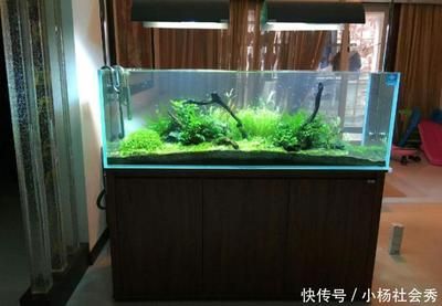 打氧魚缸怎么使用：魚缸打氧機(jī)的使用方法 魚缸百科 第4張