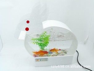 玻璃藝術(shù)魚缸制品：玻璃藝術(shù)魚缸制品加工 魚缸百科 第1張