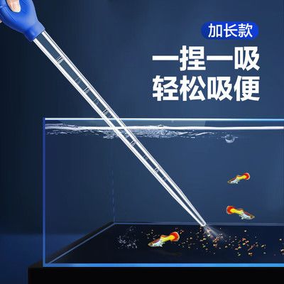 斗魚(yú)魚(yú)缸換水：斗魚(yú)換水的方法和注意事項(xiàng) 魚(yú)缸百科 第1張