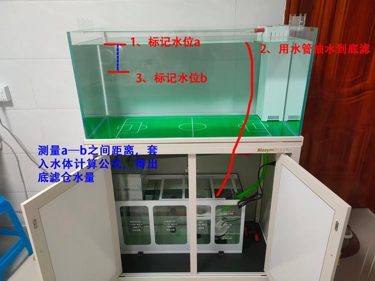 1.8米長的魚缸裝多少水 魚缸百科 第1張