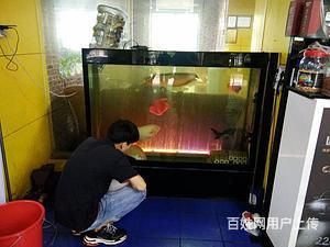 大型魚缸漏水怎么辦妙招：大型魚缸漏水的原因及處理方法 魚缸百科 第3張