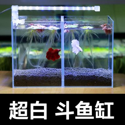 斗魚(yú)缸設(shè)計(jì)圖：斗魚(yú)缸的設(shè)計(jì)圖 魚(yú)缸百科 第4張