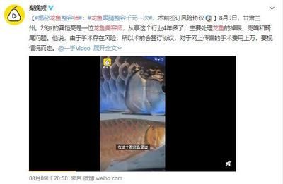 龍魚掉眼兜嘴怎么看：龍魚掉眼和兜嘴怎么辦