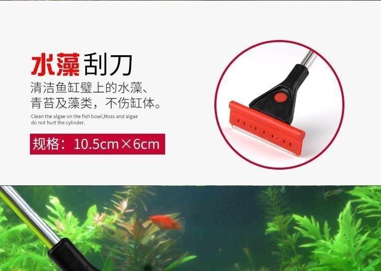 磁力魚缸刷好用嗎：磁力魚缸刷適用于各種類型的魚缸清潔工具品牌推薦