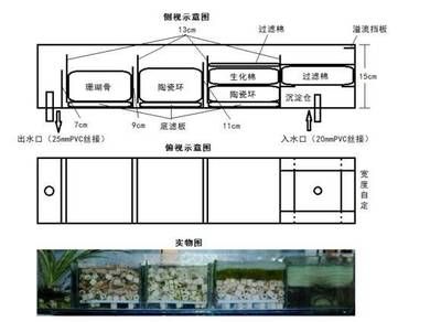 森森魚缸底濾濾材擺放順序 森森魚缸