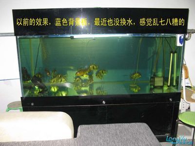 超大魚缸制作：制作超大魚缸的注意事項(xiàng) 魚缸百科 第3張