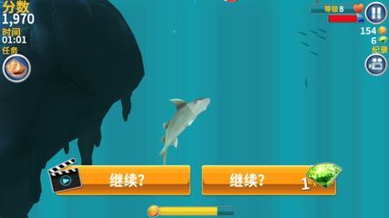 魟魚多久能餓死一只：魟魚多久能餓死一只[需手動(dòng)填充]魚的餓死時(shí)間主要取決于喂食頻率和個(gè)體狀態(tài) 魟魚百科 第3張