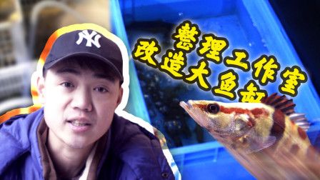 虎魚(yú)閩南：閩南虎魚(yú)是營(yíng)養(yǎng)價(jià)值高的食材，營(yíng)養(yǎng)價(jià)值高，產(chǎn)婦催奶效果高 虎魚(yú)百科 第2張