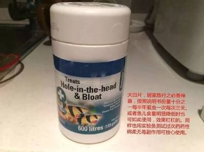 魟魚不吃食用大白片？：如何處理不吃食的魟魚 魟魚百科 第2張