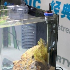 超市有賣魚缸加熱棒的嗎：如何選擇魚缸加熱棒 魚缸百科 第1張